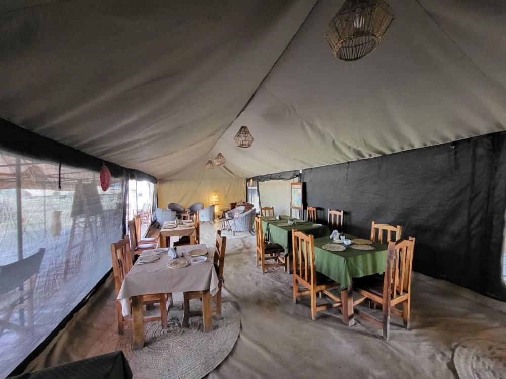 Africa Safari South Serengeti Ndutu Ngorongoro Sinoni Exterior foto